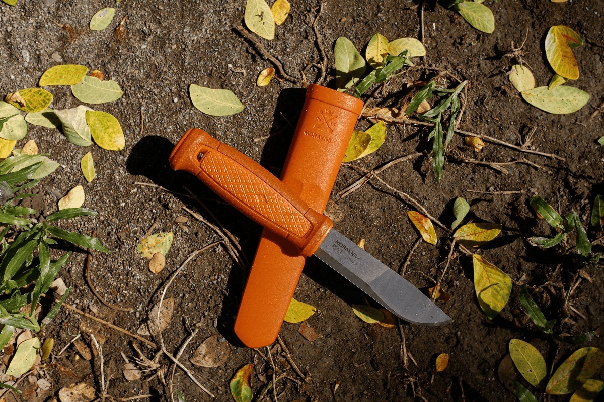 t0171db1ac019a827bd.jpg?size=1200x800