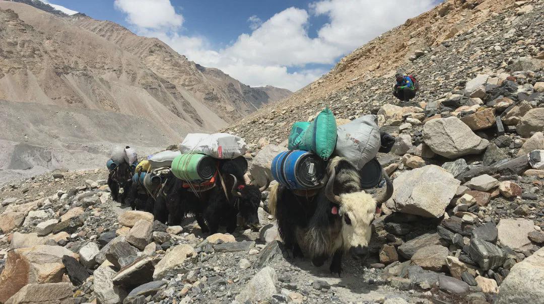 登一次珠峰到底需要多少錢？