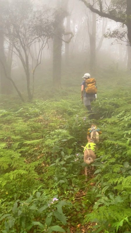 如果在野外迷路了怎么辦？
