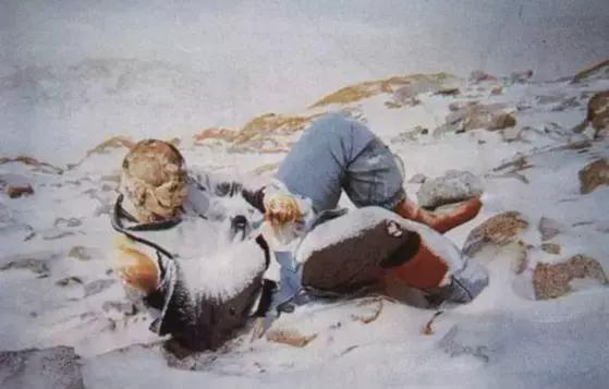 珠峰上的屎,都去哪了?