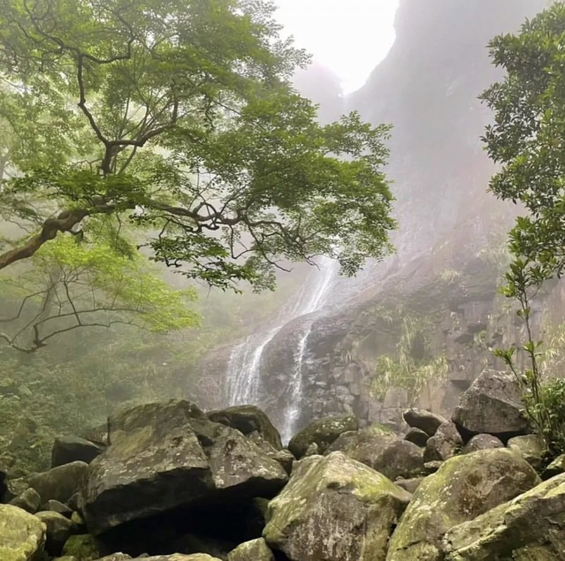 如果在野外迷路了怎么辦？
