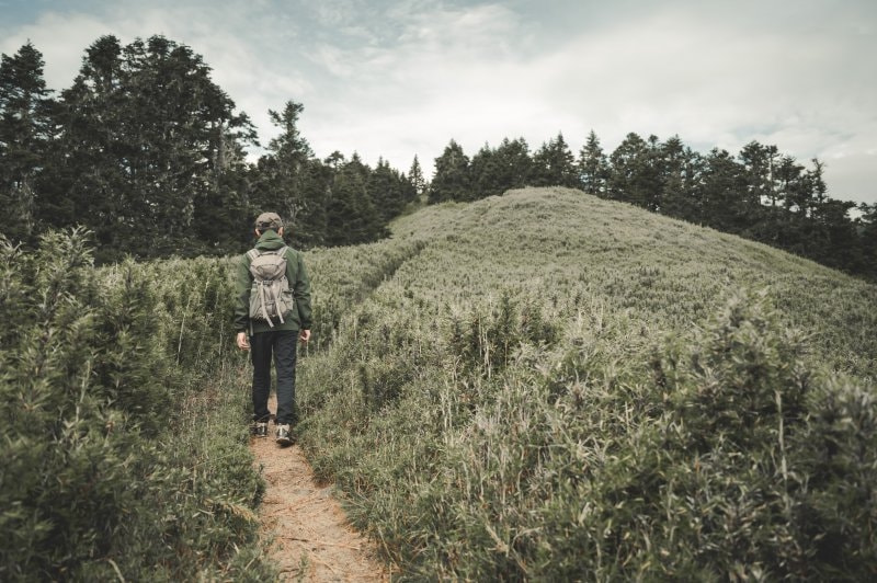 實測火彩棍Haglofs防水外套,攝影師推薦適合戶外和日常穿搭的沖鋒衣