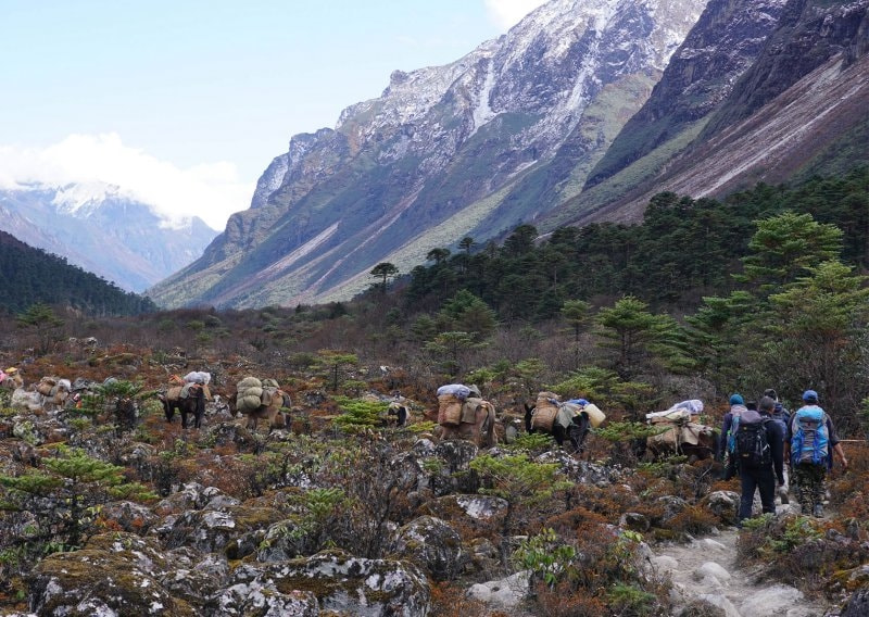 世界級十二條經典徒步旅行路線，你都走過幾條