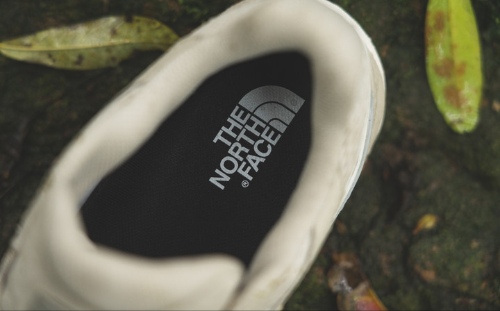 120102xcxsxwof6k3n8xj1