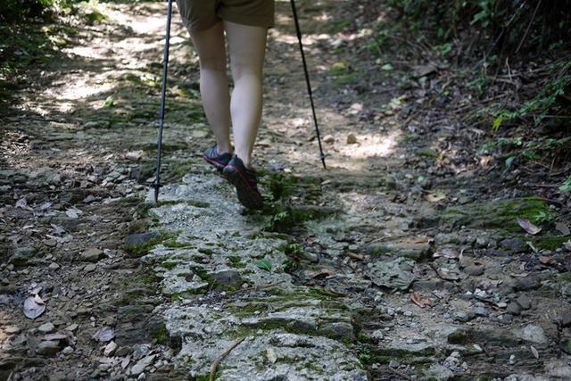 08c574a870f142d9927af9ddb8d2bdde 08c574a870f142d9927af9ddb8d2bdde