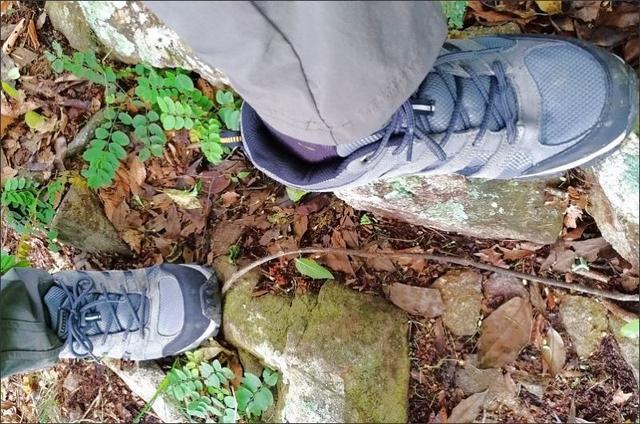 11c87bc1d6b041fcbf0bd77bd24f97cd 11c87bc1d6b041fcbf0bd77bd24f97cd