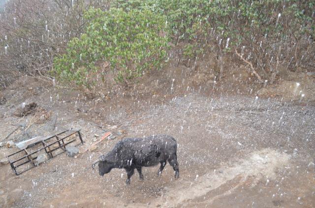 146cd5c9e2a94976a1ac68e0e55f93ad 146cd5c9e2a94976a1ac68e0e55f93ad