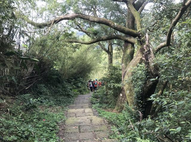 14e366a41c094819921c5793c8316854