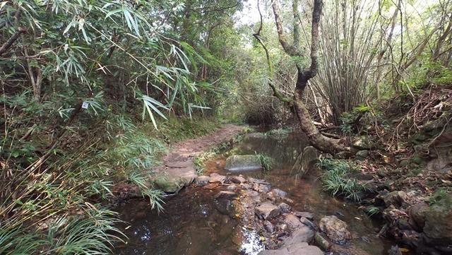 17a5bedac7b34b7b9c5210d29a216b33