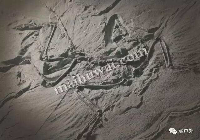 始祖鳥好在哪里 憑什么在戶外品牌中賣的這么貴?