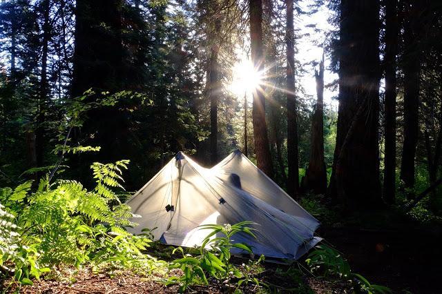 1fa613ee51a14de98f7d311ad74dd2be