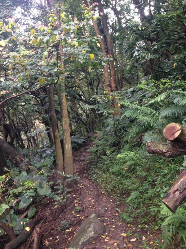 2208cecc267245bead89d32ca8de6df8 2208cecc267245bead89d32ca8de6df8