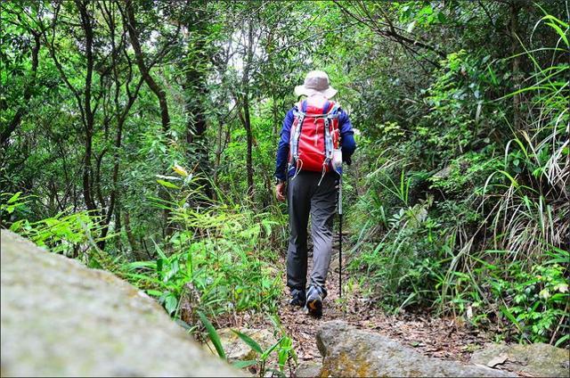 24058ac8c7cc423f9022892e55670104 24058ac8c7cc423f9022892e55670104