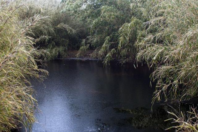 2428c0082aef42a79bcf49d3ff8a6296 2428c0082aef42a79bcf49d3ff8a6296