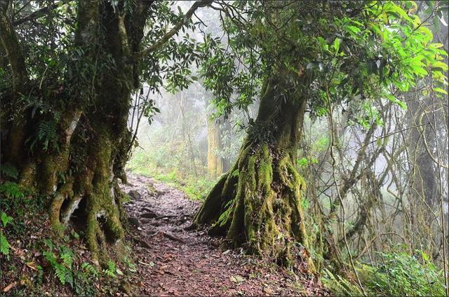 25d3400c52d94d9e96b66bdcc50a8e2f 25d3400c52d94d9e96b66bdcc50a8e2f