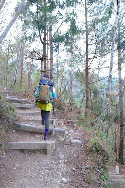 2a2d90941737450bb0a61303b6959334 2a2d90941737450bb0a61303b6959334