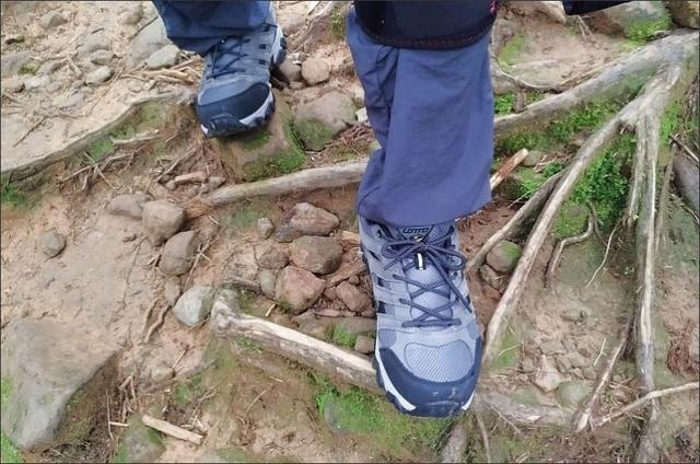 2d023f0017d84911a33ab291fcb722bf 2d023f0017d84911a33ab291fcb722bf