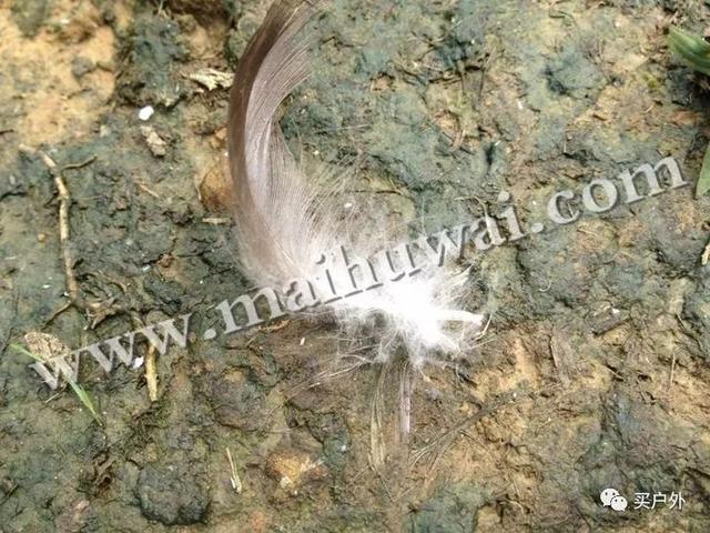 327a0d65e9c94177890a3a7dfc1a5df1 327a0d65e9c94177890a3a7dfc1a5df1