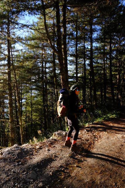 327e85cd7dc9443bba7011fe846f1066 327e85cd7dc9443bba7011fe846f1066