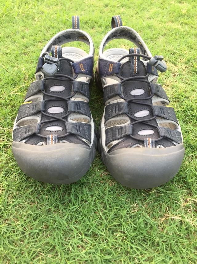 3ba14dd44db843219bda970f8e446cef