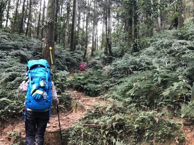 3e536d8426e6451b93f31e64374f10e6