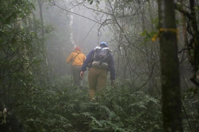 442fd039aff04e1b8080e2084e0ad11b 442fd039aff04e1b8080e2084e0ad11b