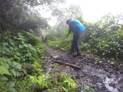 45ab9ae68b1a46c888c052649463e0fe 45ab9ae68b1a46c888c052649463e0fe