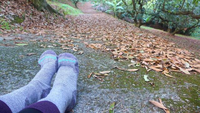 4705f0210d29452b87ab3563f436ab56 4705f0210d29452b87ab3563f436ab56