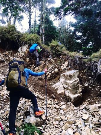 4a7865f4eae94ac28bd736a2c030c42b 4a7865f4eae94ac28bd736a2c030c42b