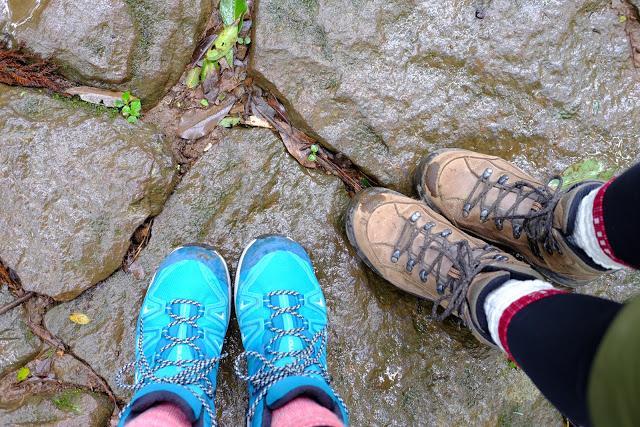 4d7962ac504b4ea1827ac94091bfeee1