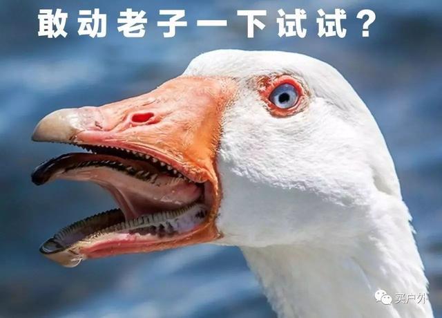 冬季已至，出去戶外活動除了帶羽絨服還有哪些產品值得我們選購?