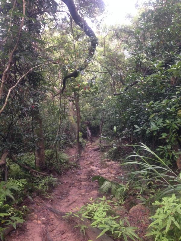 5c69bd9c540c4d4fa8396b112b1bbd8d 5c69bd9c540c4d4fa8396b112b1bbd8d