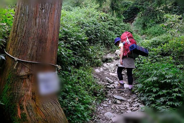 7130b5fe25de41a3b4aa6aed6462eb99