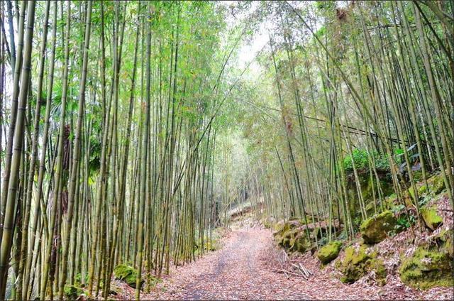 786b1a6677054f3aa30adac8bc7fa37b 786b1a6677054f3aa30adac8bc7fa37b