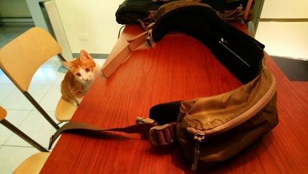 78d9932bdf2f4b8b9792bf1f686728a0 78d9932bdf2f4b8b9792bf1f686728a0