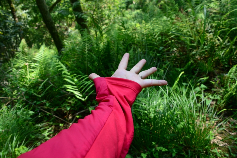 800_6e75e28f1e983c5cf7a7a0c597a5a5b2 始祖鳥 Arc'teryx Atom SL Hoody 輕量連帽外套測評