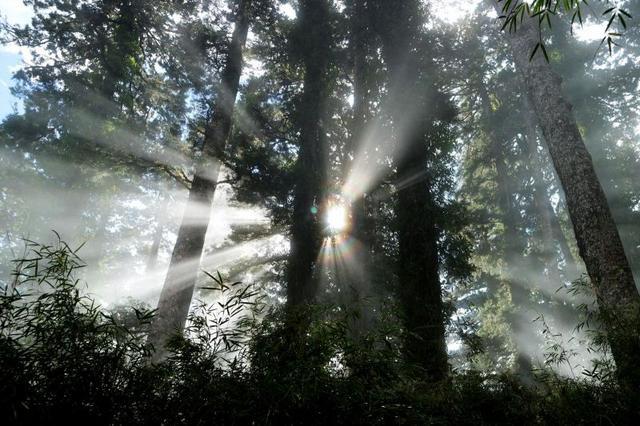 84f6fa5af3084f56bf51a8d5e0c41407