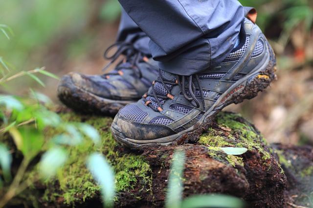 給喜愛戶外的你，邁樂(Merrell) Moab2防水徒步鞋實測