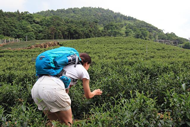 86072fa88ec44a799f966ebe937ded65-1 86072fa88ec44a799f966ebe937ded65-1