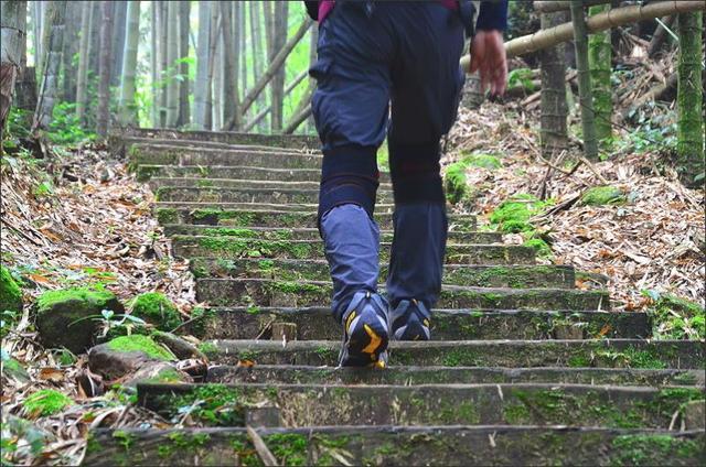 8ab27666a56f43d6b696531bb5dedf00 8ab27666a56f43d6b696531bb5dedf00