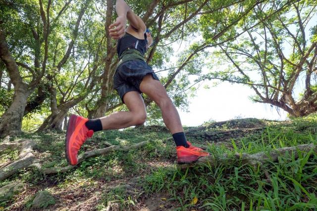 一股野勁，Salomon越野跑鞋陪你探索未知山徑