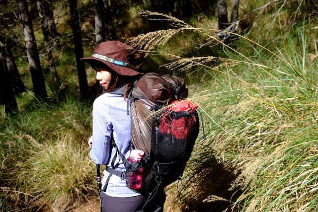 92da86ed577d49ff920b12f297fd7ba3