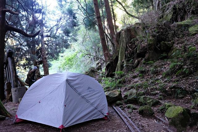 妹子教你選帳篷，露營推薦MSR Elixir 3三季帳