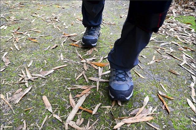 9a51e6b96824475d81ece16687e7aecb 9a51e6b96824475d81ece16687e7aecb