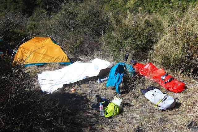 9b4c2e2f8c7e40d3885f99bda909ca57