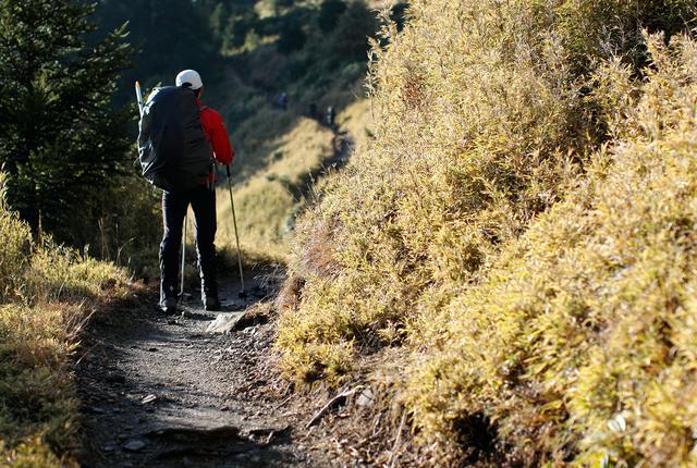 ad26d4c3f35a48958afafae4bcc1fd4a