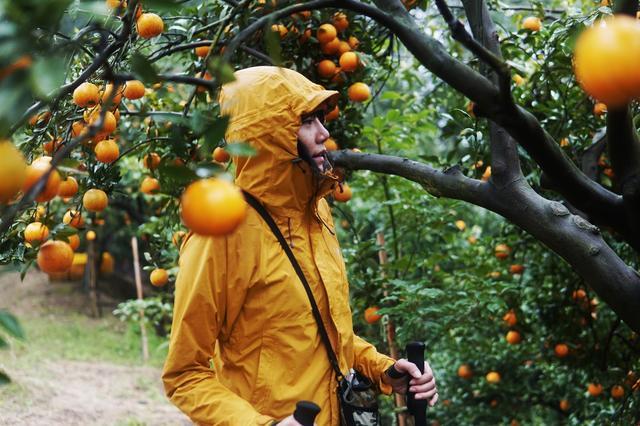 ae13656800f64f50a178464ca99976fc ae13656800f64f50a178464ca99976fc