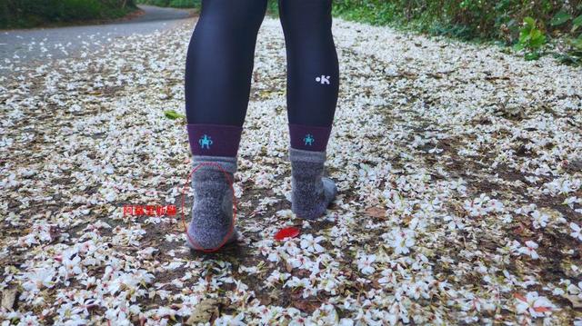 aea6c017de8b411b9ccdf7a2552a4bd7 aea6c017de8b411b9ccdf7a2552a4bd7