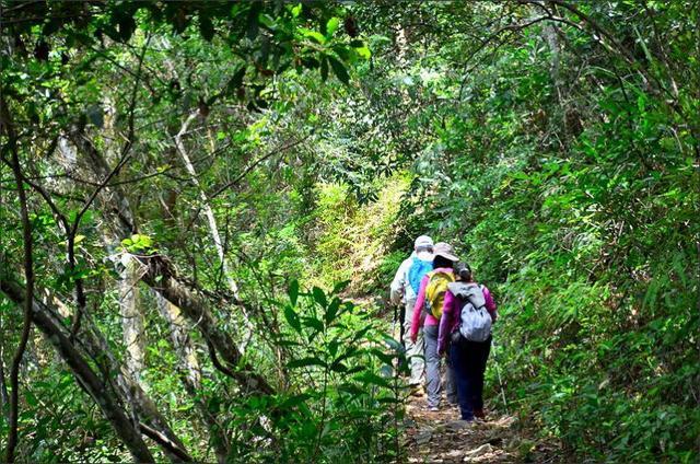 b27a4fe9790045449c195737ee51710e b27a4fe9790045449c195737ee51710e