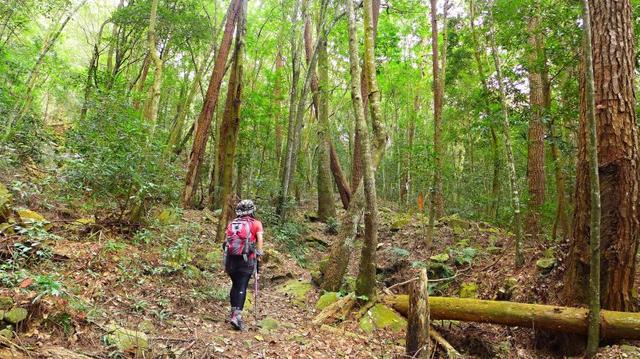 bb643d541f3a4c43838e730130e65baa bb643d541f3a4c43838e730130e65baa